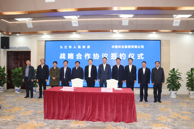 市林業(yè)局:市政府與中林集團(tuán)簽署戰(zhàn)略合作協(xié)議