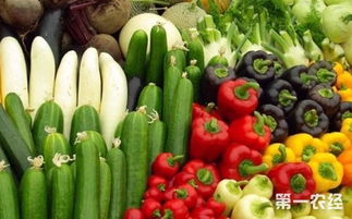 強化源頭管控，守護“舌尖安全”——淺析農業部食用農產品合格證管理試點工作在零售環節的實踐