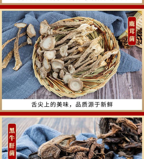 鮮山叔·臻選菌菇禮盒 品味山珍，禮贈(zèng)健康，開啟現(xiàn)代廚房新“食”尚